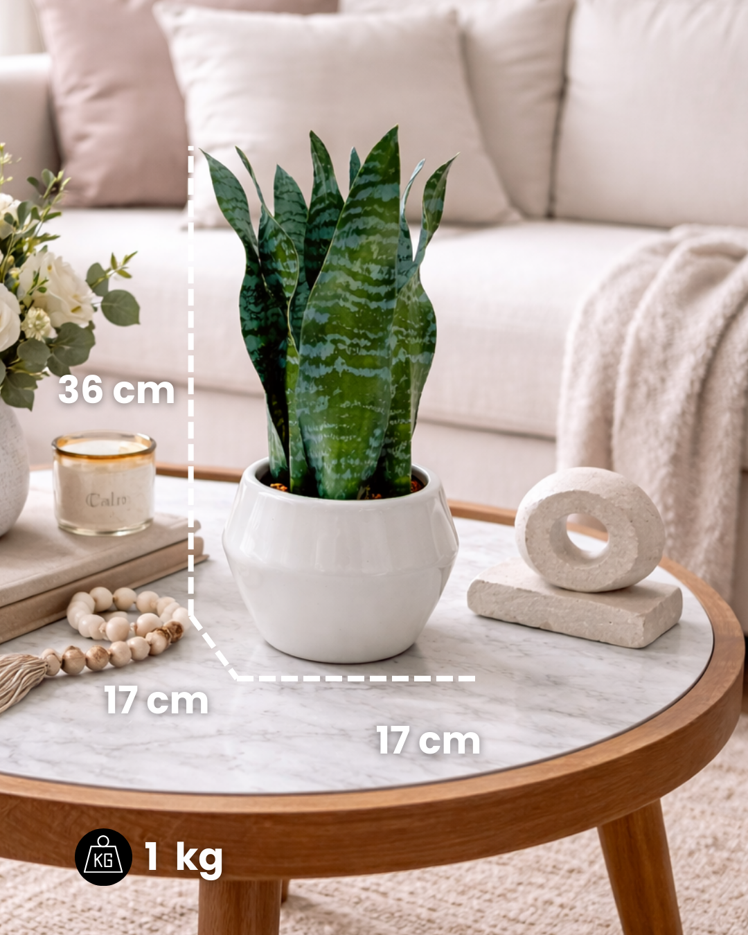 PLANTAS ARTIFICIALES