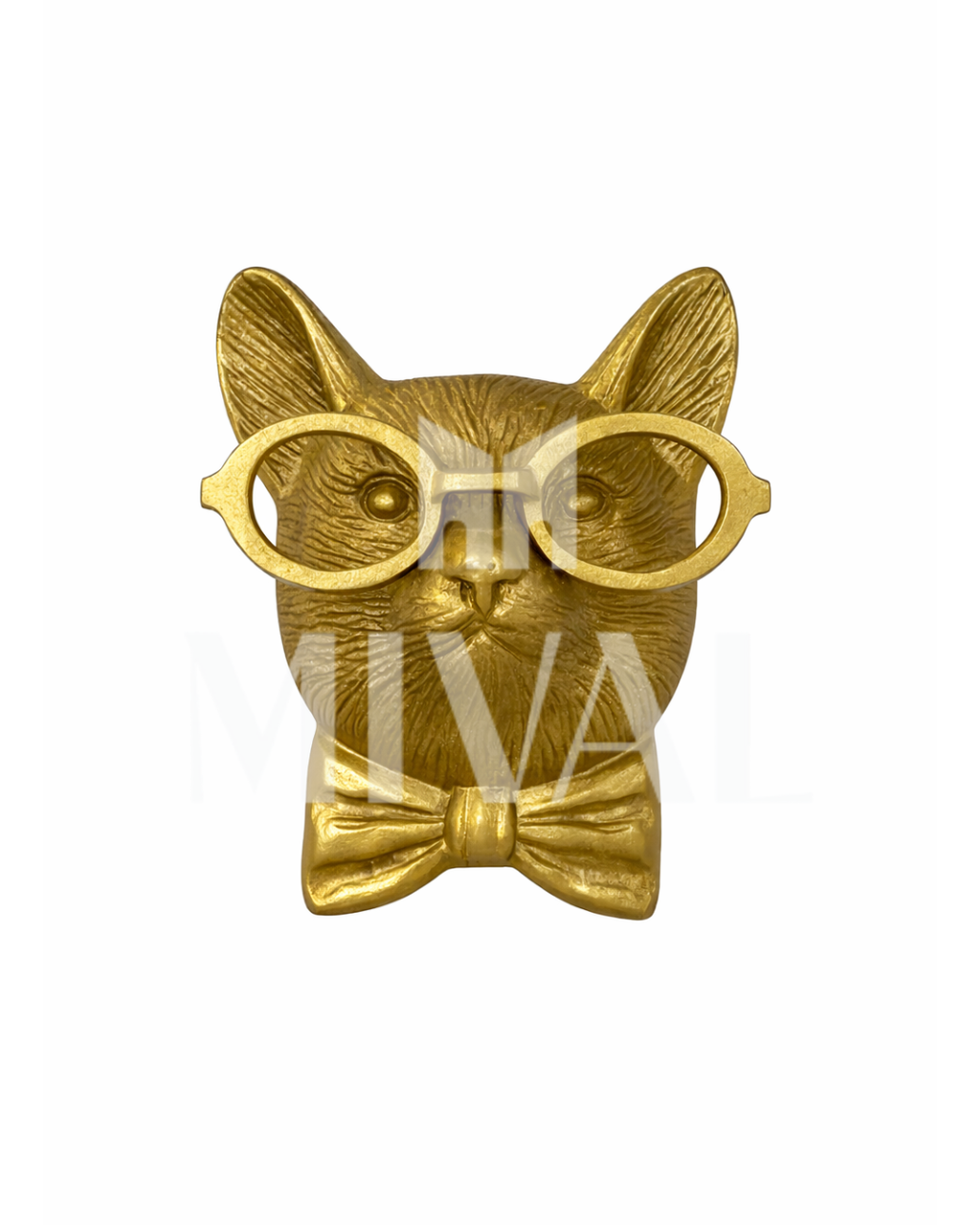 CARA RATON CON LENTES