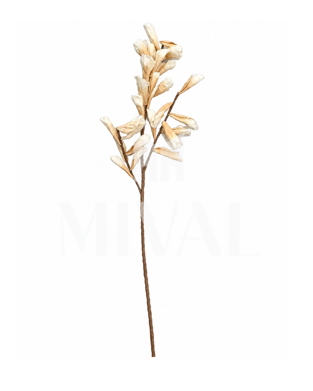 HOJA SHELL BEIGE