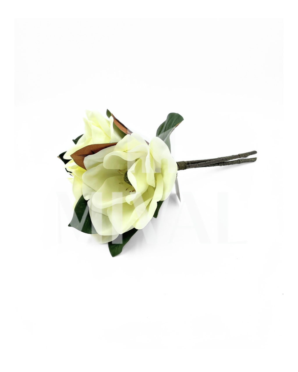 ATADO DE MAGNOLIAS
