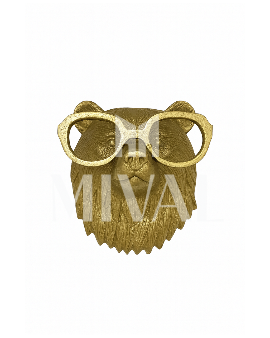 CARA OSO CON LENTES