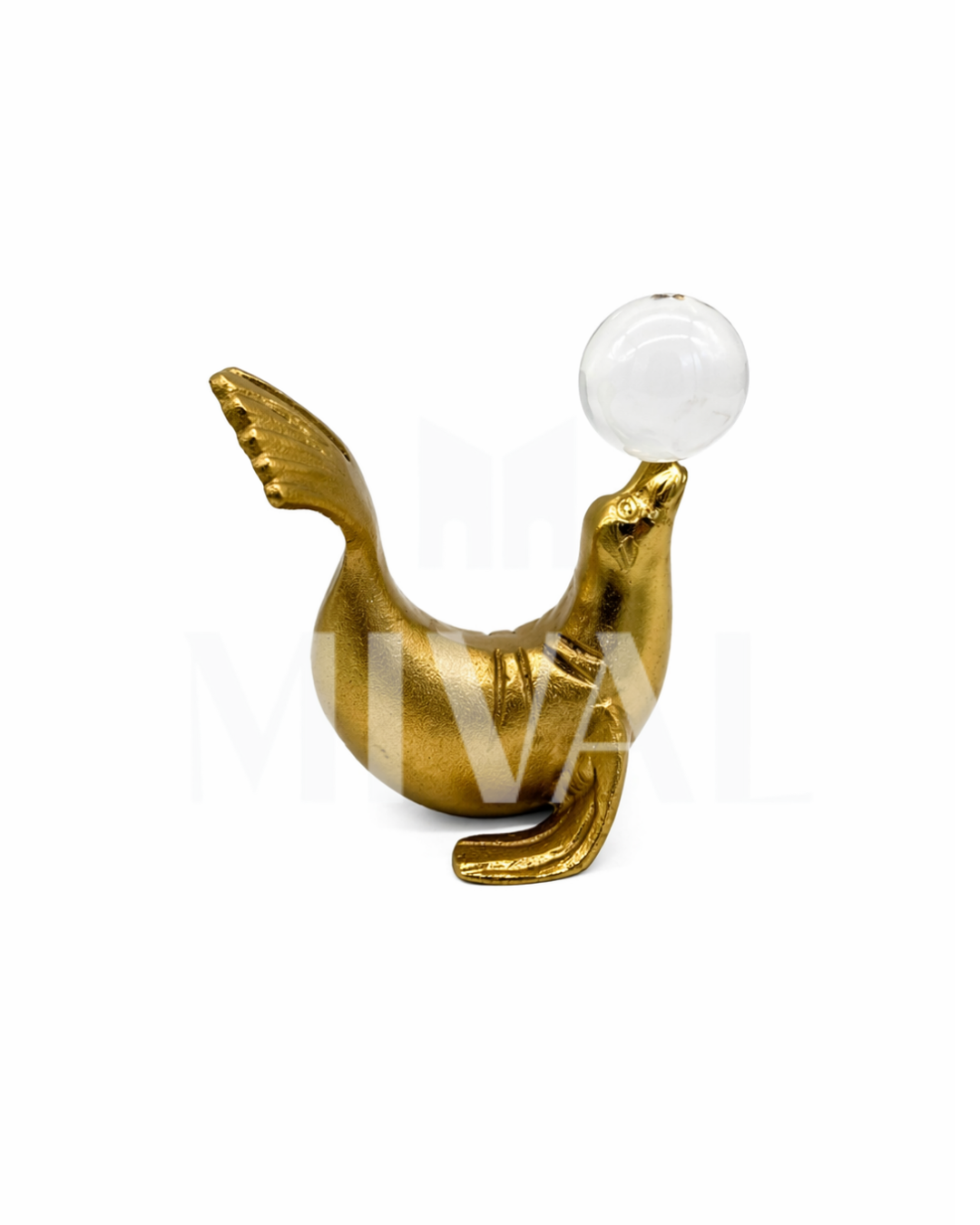 FOCA