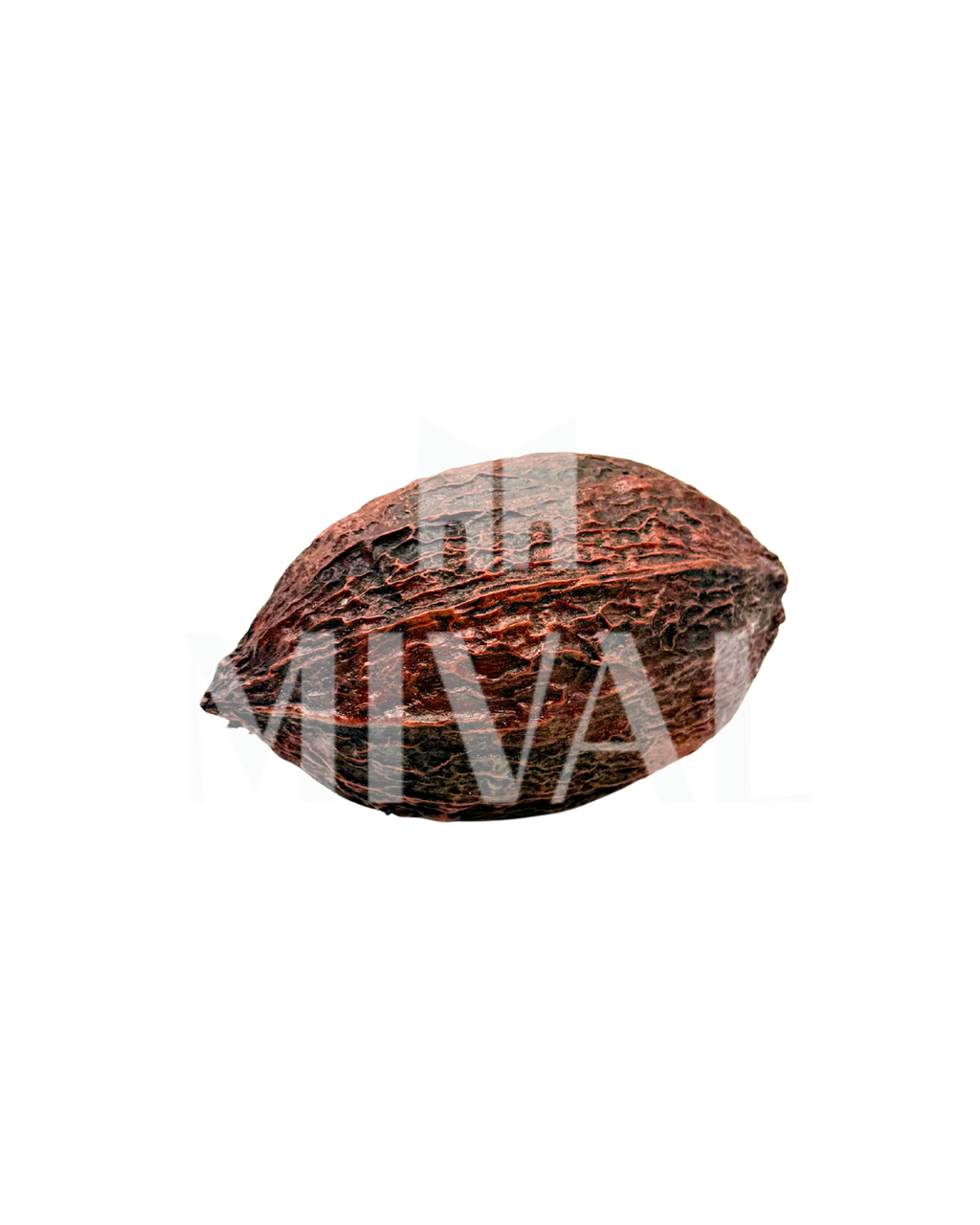 VAINA