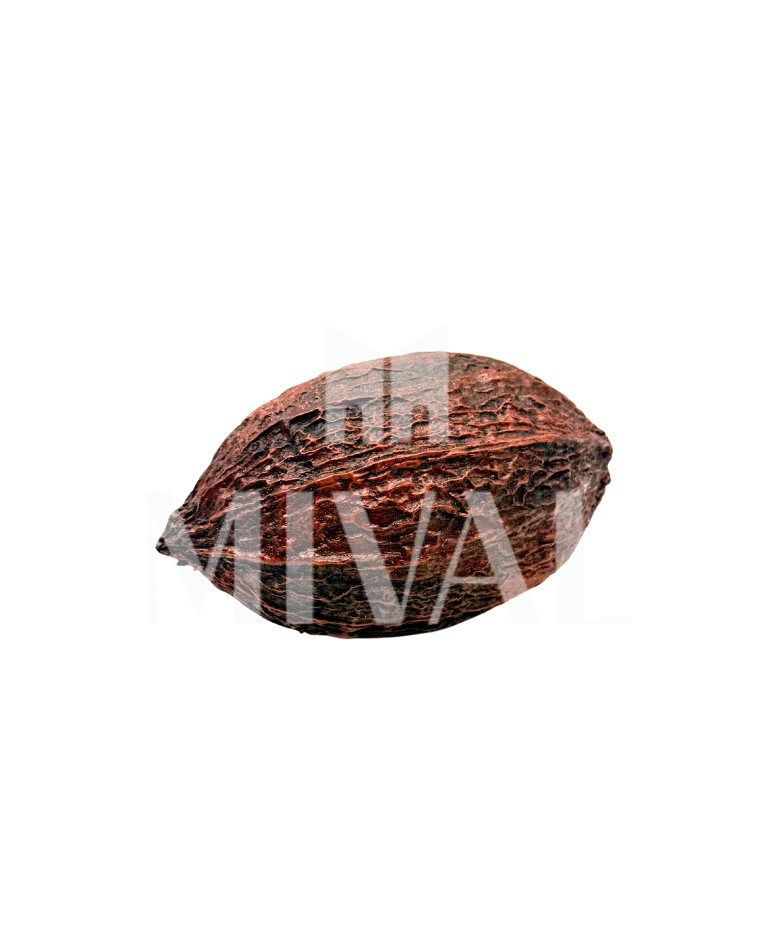 VAINA