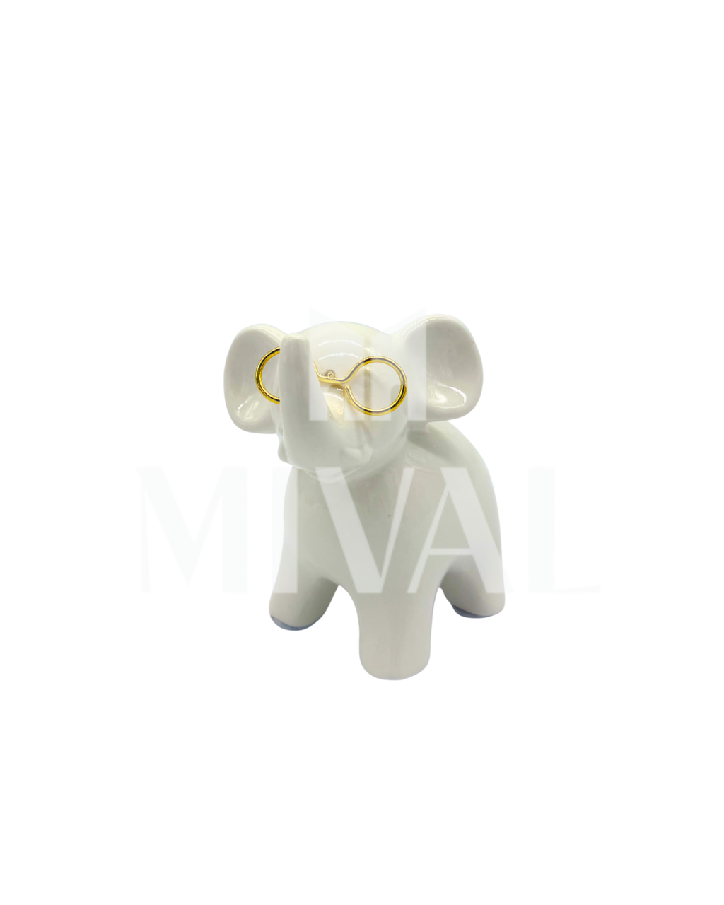 ELEFANTE CON LENTES