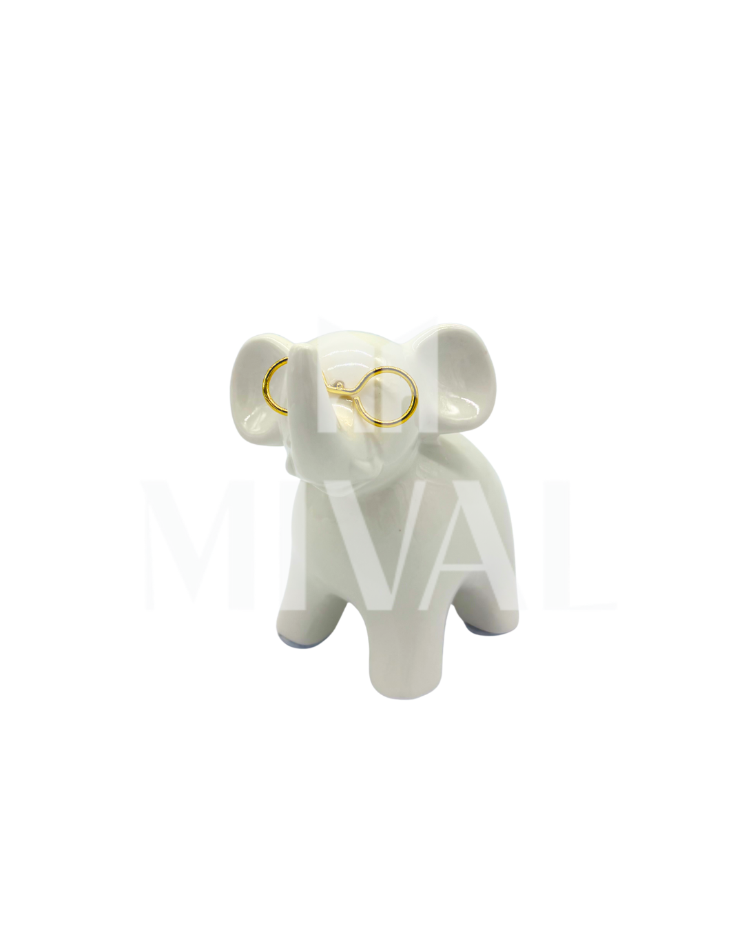ELEFANTE CON LENTES