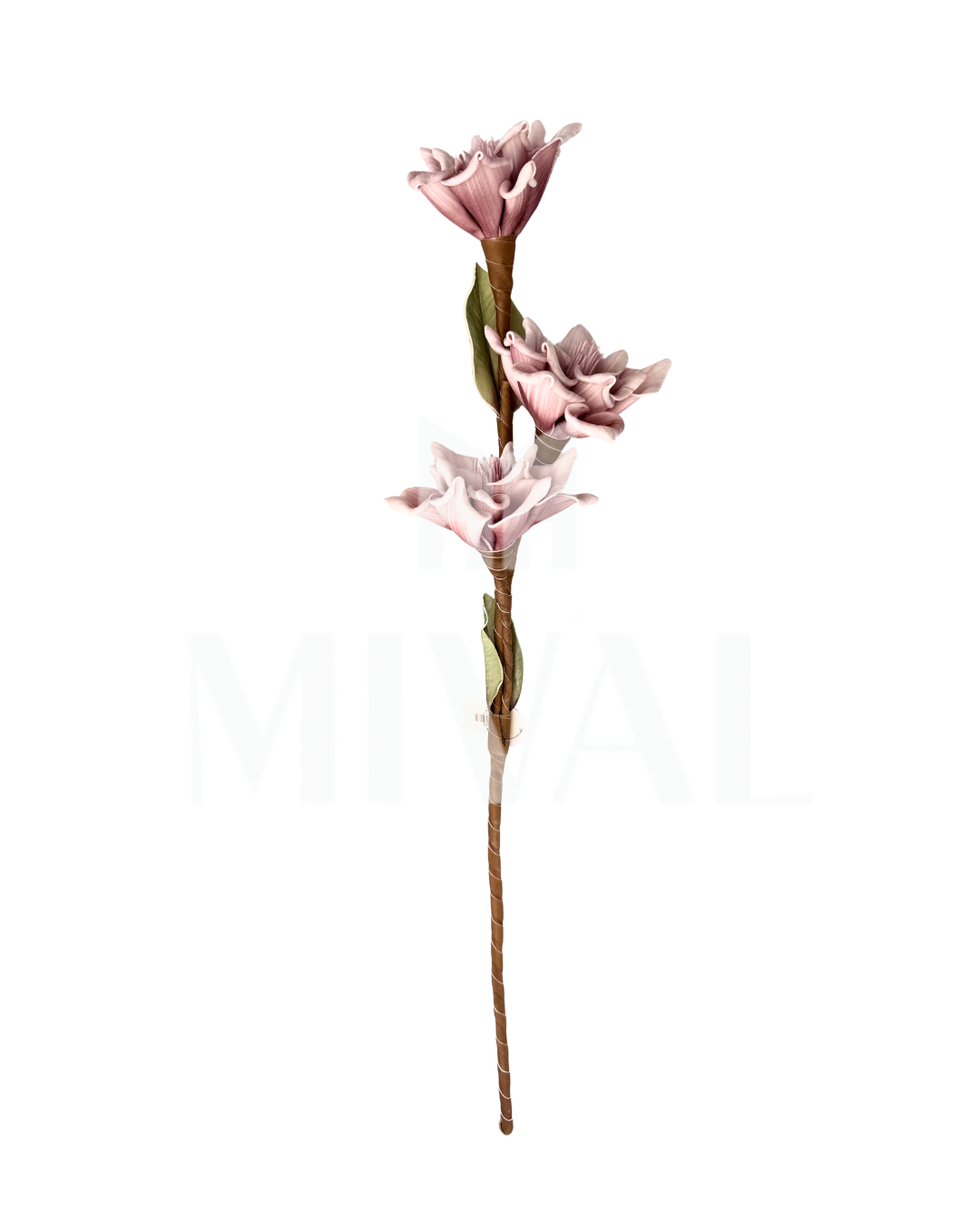 MAGNOLIA FOAM 3F PINK