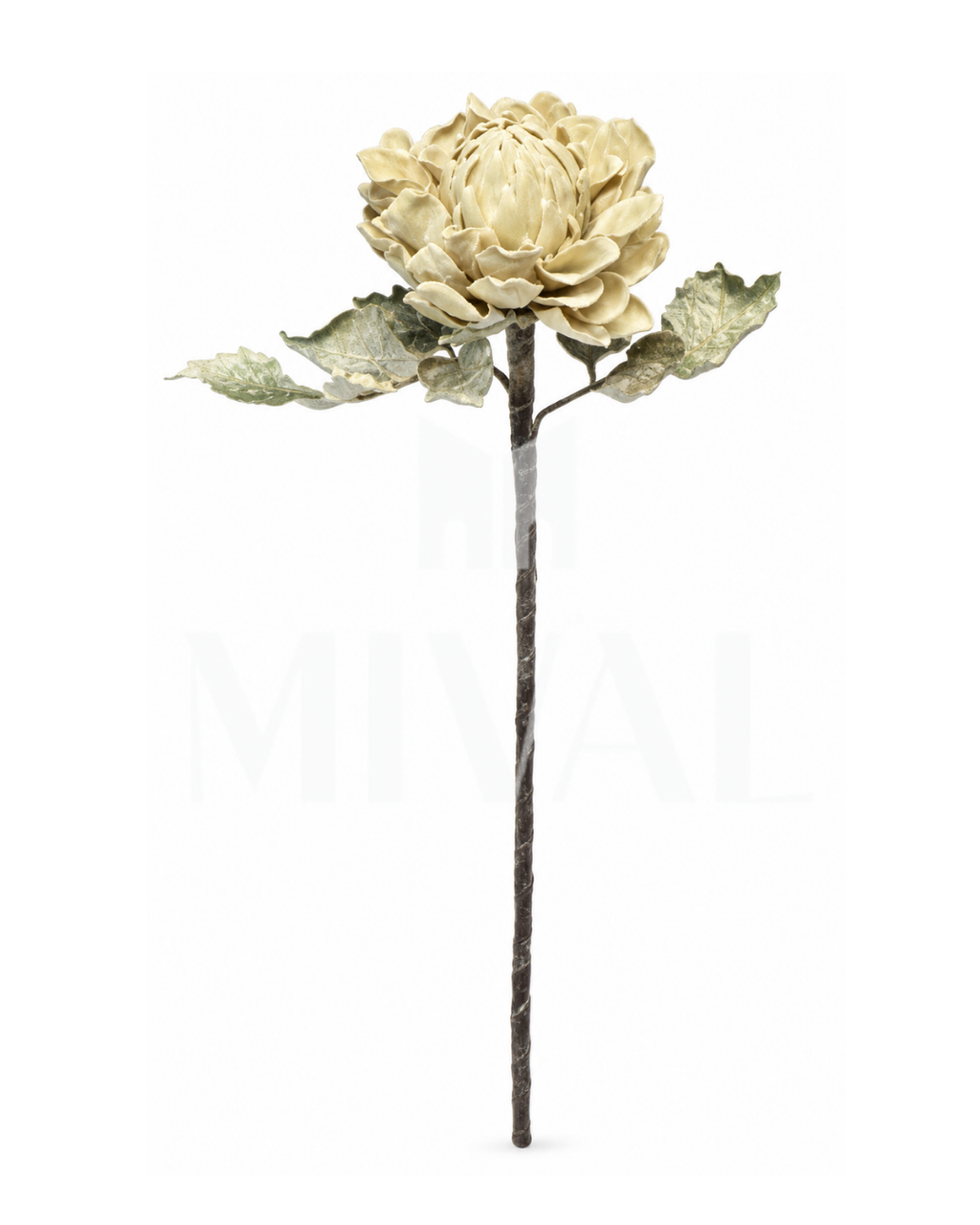VARA FLOR PROTEA BEIGE