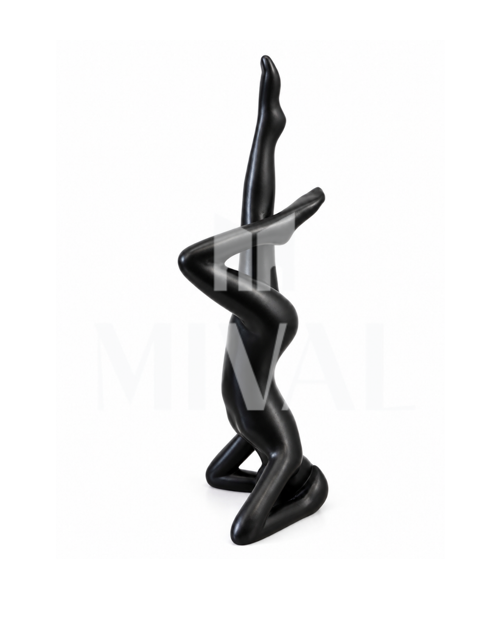 ACROBATA NEGRO