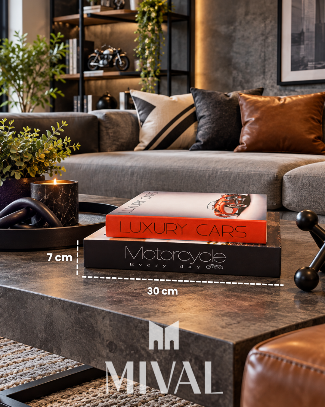 JGO LIBROS DECORATIVOS CARROS