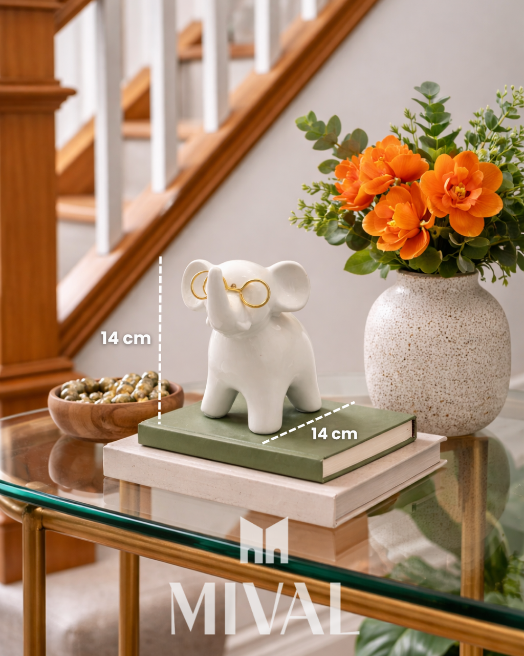 ELEFANTE CON LENTES