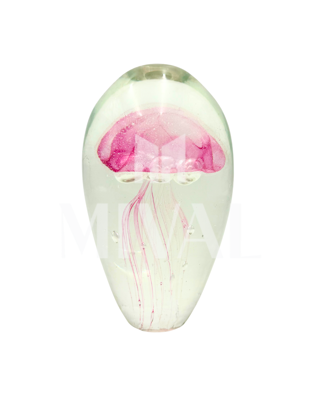 MEDUSAS