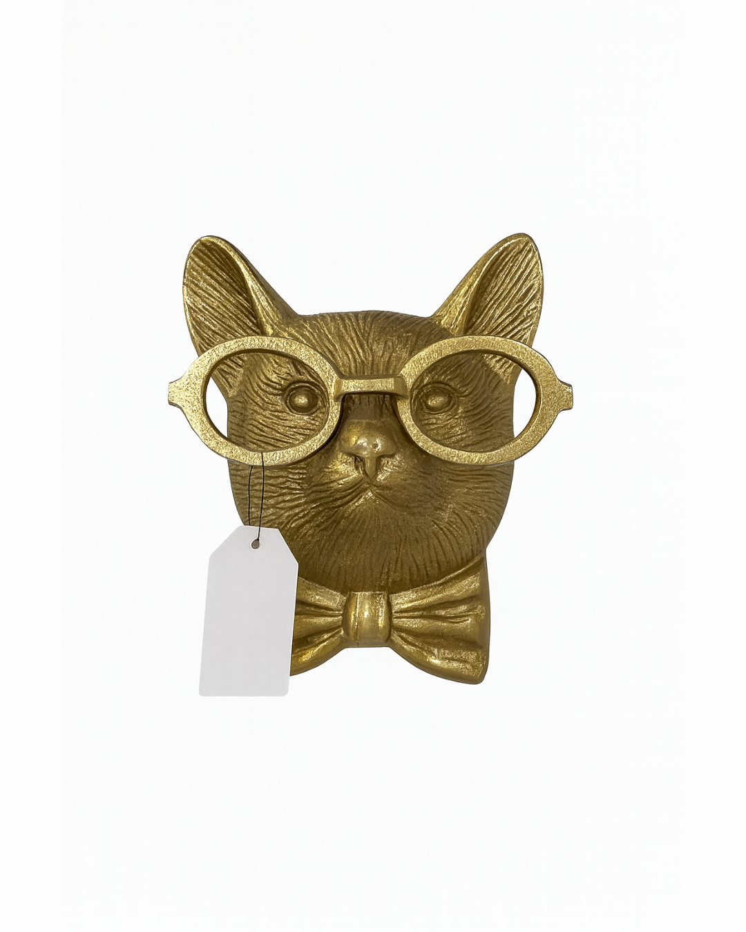 CARA RATON CON LENTES