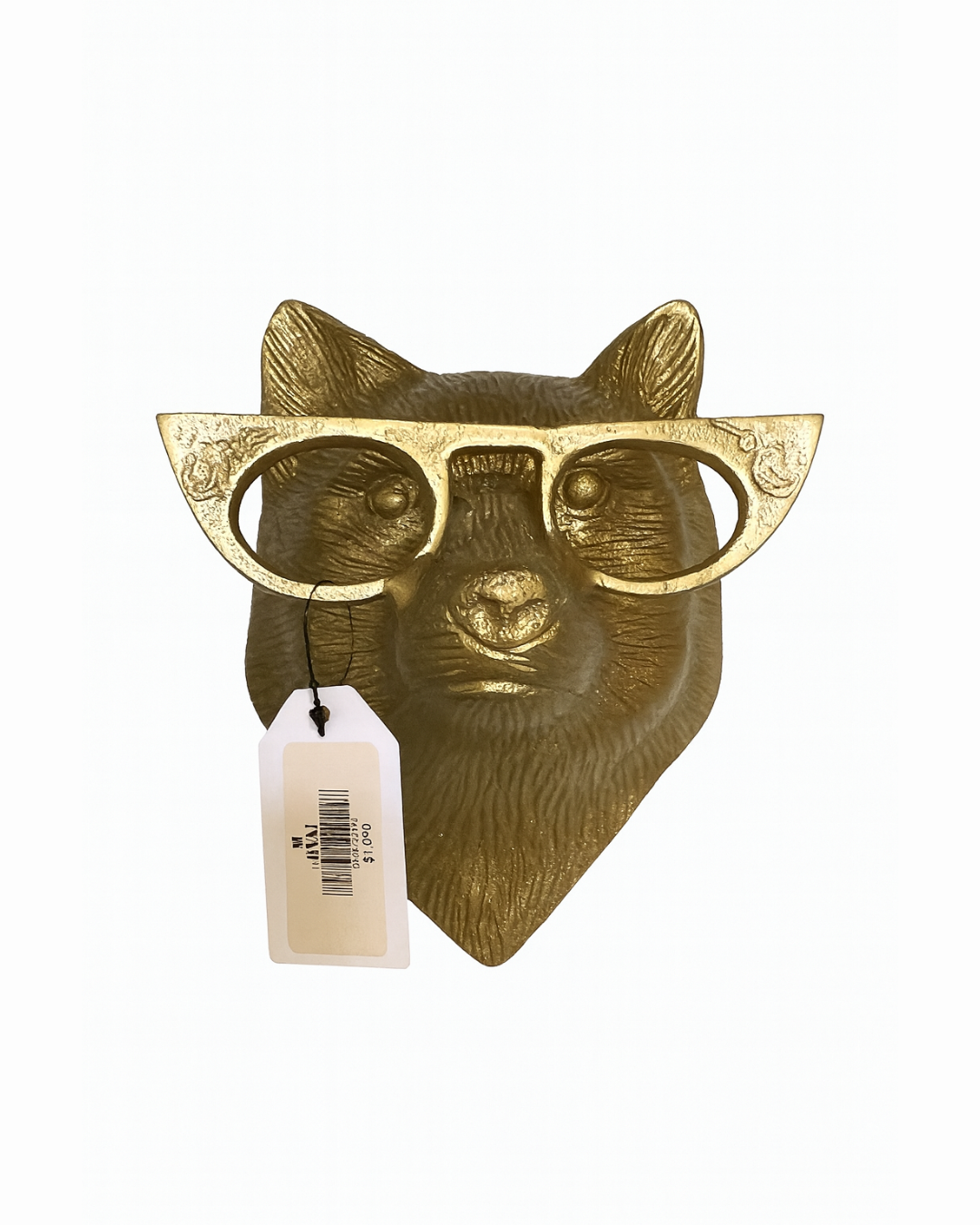 CARA ZORRO CON LENTES