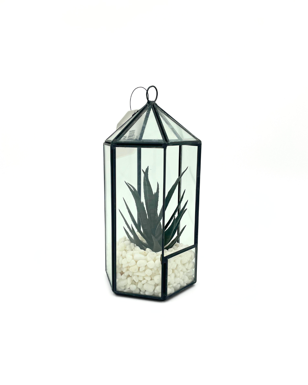 LAMPARA SUCULENTA CON PIEDRA