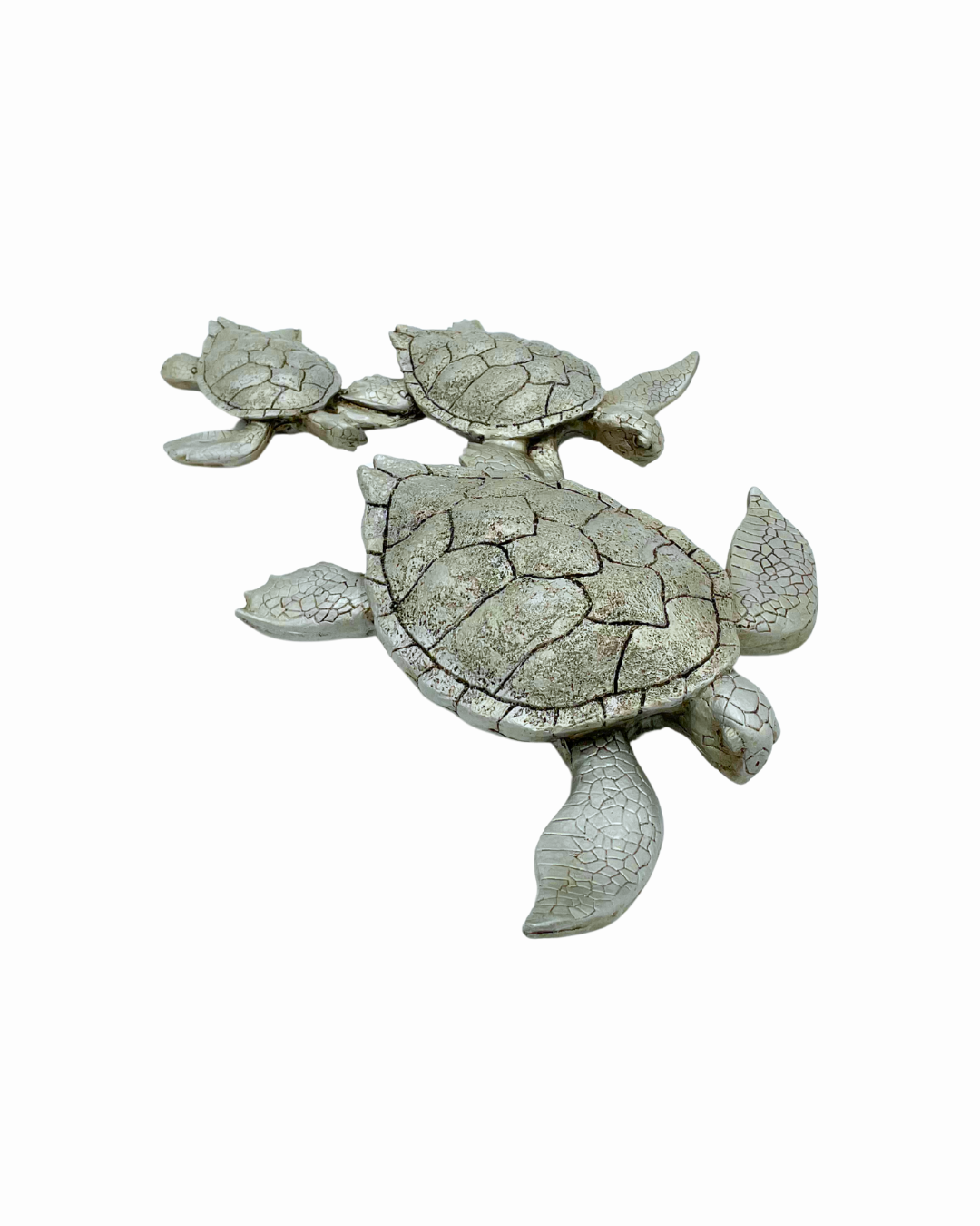TORTUGAS PLATA GREG