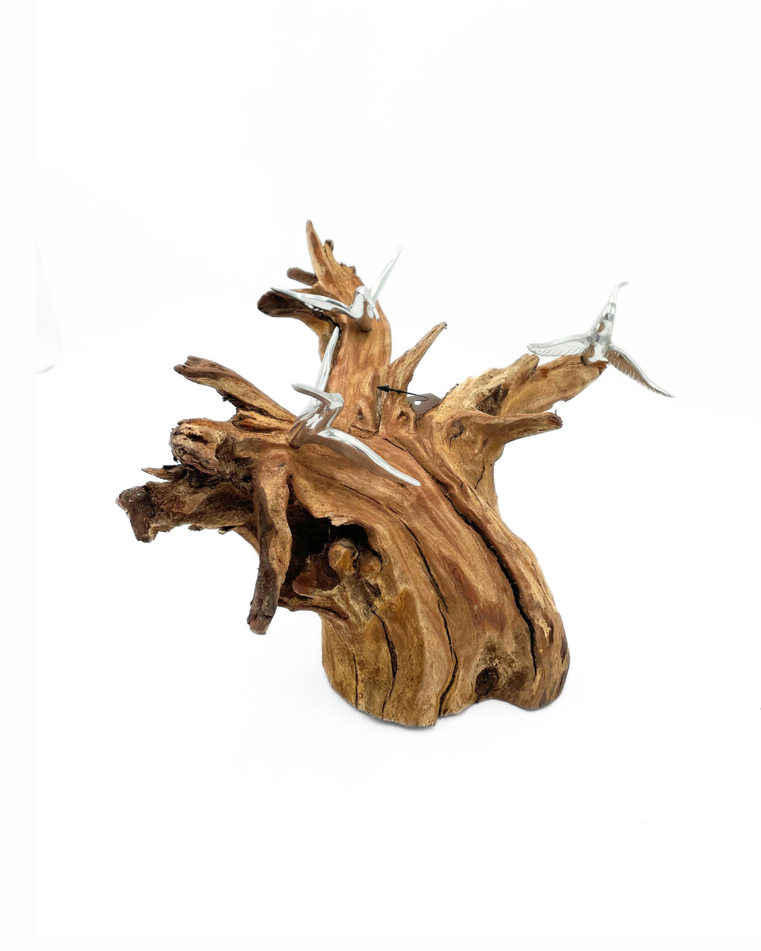 TRONCO DE MADERA COLIBRI